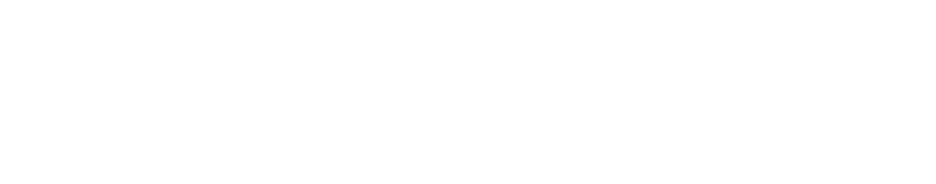 Real Estate Dynamics