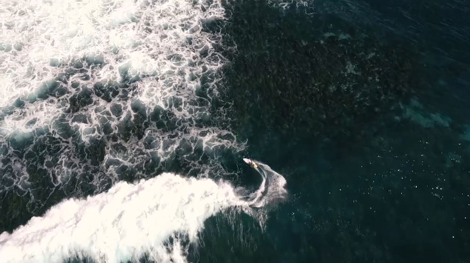 Real Estate Agent Proserpine Team Neumann Property